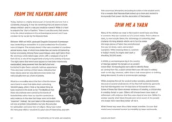 The Encyclopedia of the Weird and Wonderful