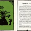 The Museum of Witchcraft