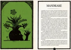 The Museum of Witchcraft