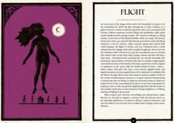 The Museum of Witchcraft