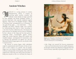 The Pocket Book of Witches - Myth, Magic & Meaning
