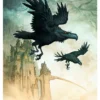 Vykort - Huginn & Muninn A6