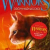 Warriors serie 4:2 - Drömmarnas eko