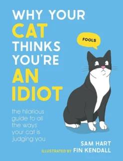 Why Your Cat Thinks You're an Idiot