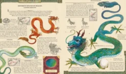 Dragonology