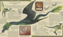 Dragonology